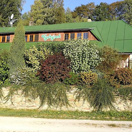 Apartmány Vydrýsek Srní Exterior foto